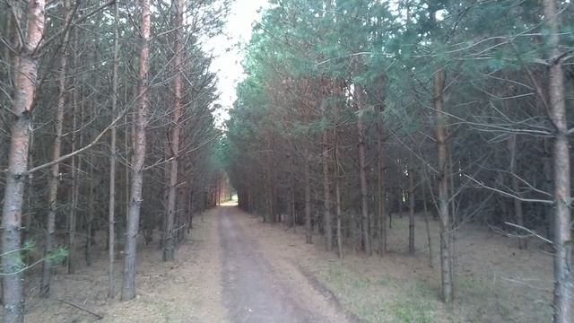 02 - Как Здесь Страшно Вобще - 2025