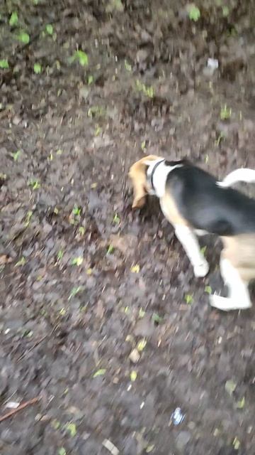 VID_20250519_073746