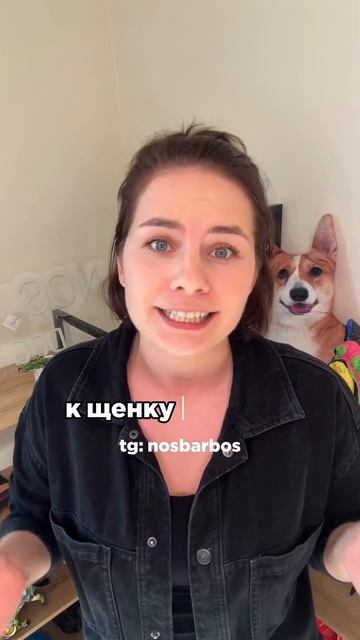 Я - кинолог и я боюсь заводить щенка #собака #щенок #кинолог #кинологонлайн #дрессировка