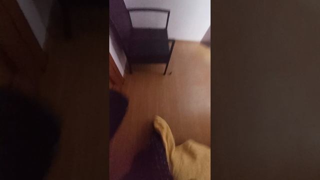1000032075.mp4