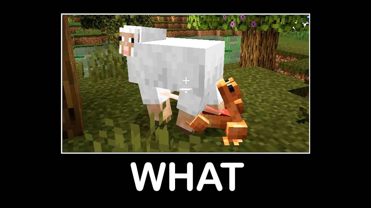 Подождите, что за Майнкрафт #16