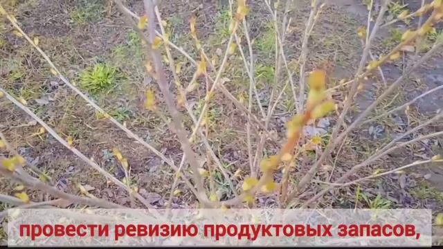 Начало дачного сезона