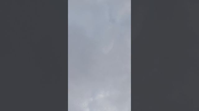 1000030589.mp4