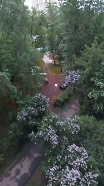 Вечерняя зарисовка, потеплело...))))) #рекомендации