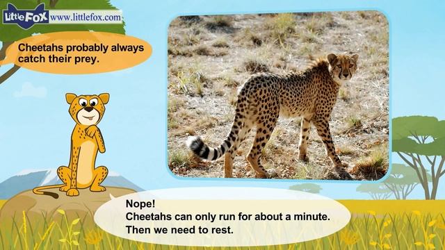 Meet the Animals 4 _ Cheetah _ Wild Animals _ Little Fox _ Animated Stories for