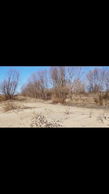 сплав по Оке, перепачкал байдарку