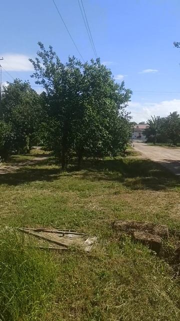 VID_20250518_151612.mp4