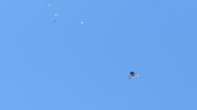 1000041670.mp4