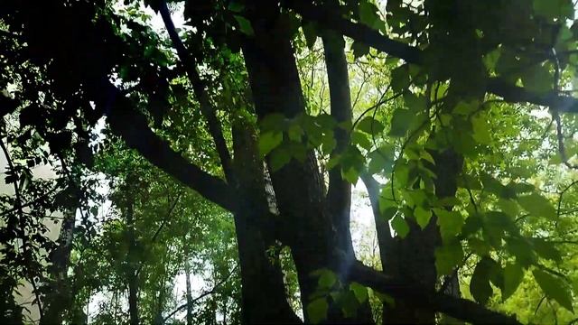 Фильм #31 Ховринский Призрак (The Khovrino Ghost)  #TheScaryGhost