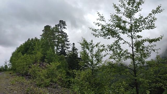 Туман над тайгой. Нанцы. Обильная. Приморье.