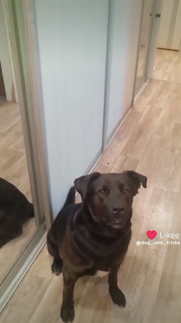 1000040186.mp4