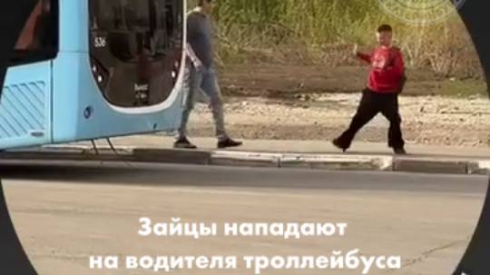 Зайцы нападают на водителя троллейбуса