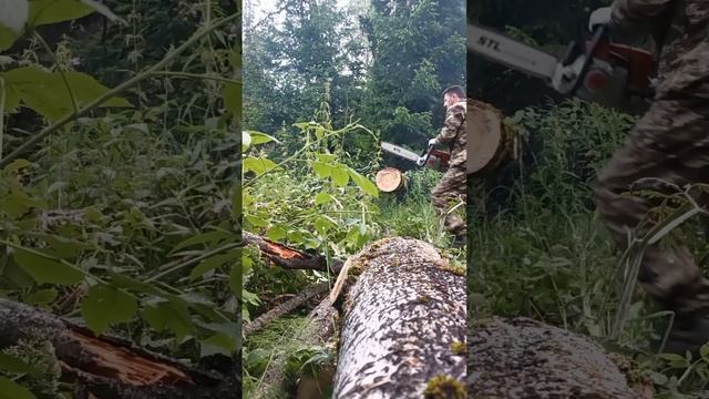 Китайский Stihl MS361реплика. на обкатке. Карбюратор ещё ?