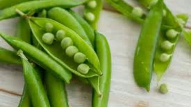 19 мая - Иов Горошник. Традиции и народные приметы