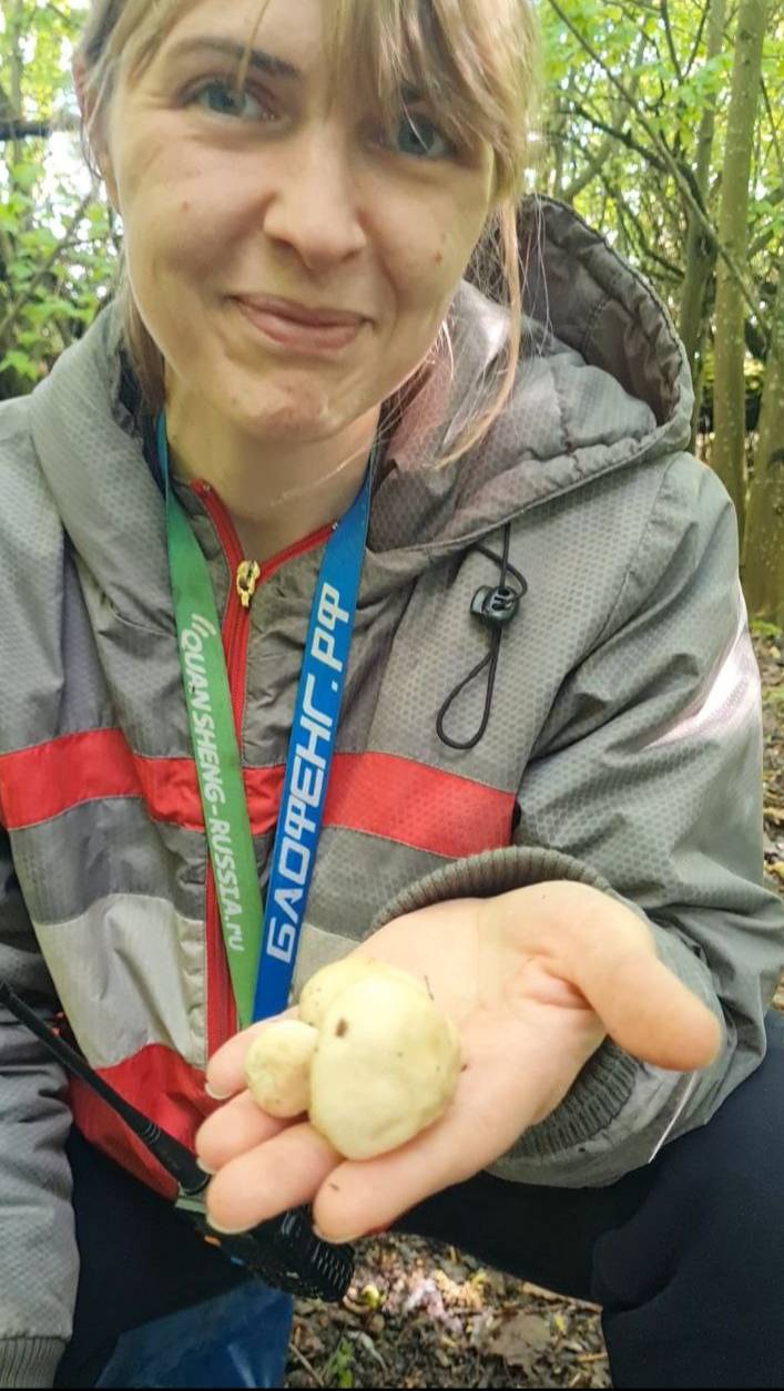 Рядовка майская ( Calócybe gambósa) и энтолома садовая (Entoloma clypeatum) СРАВНЕНИЕ ГРИБОВ