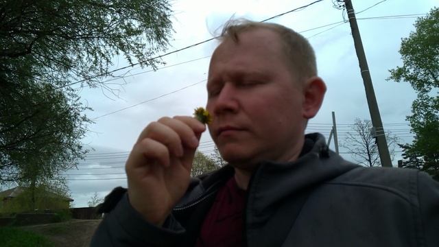 05 - Ешьте Одуванчики - 2025