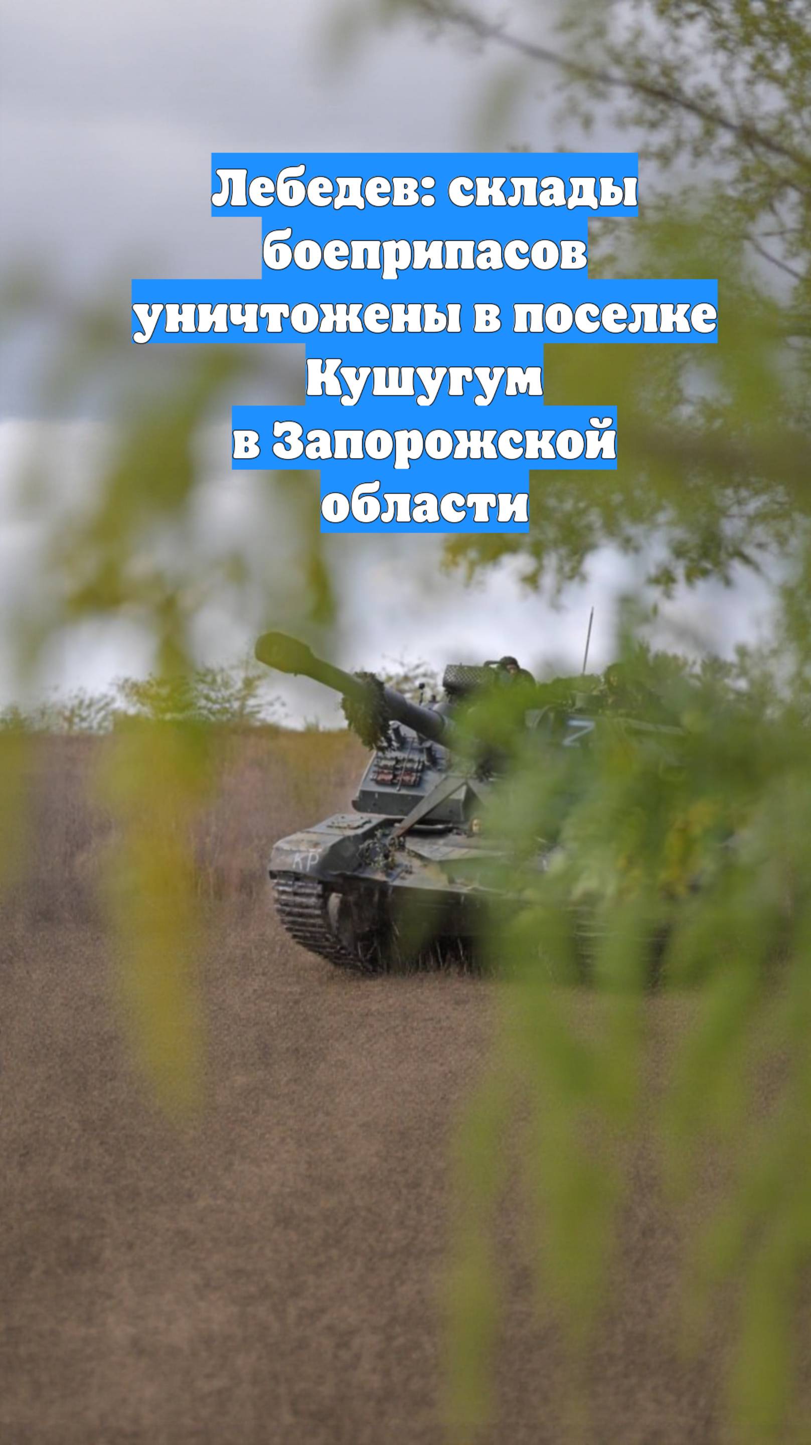 Лебедев: склады боеприпасов уничтожены в поселке Кушугум в Запорожской области