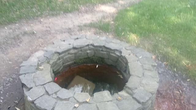 VID_20240919_141902