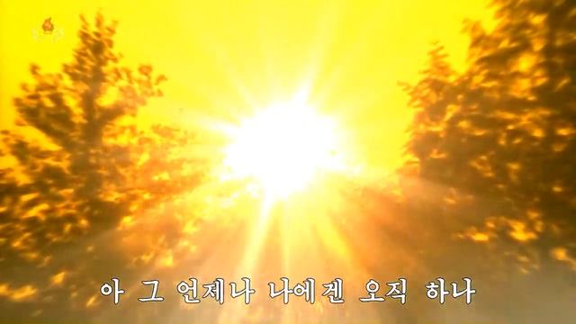 МЕЛОДИИ СЕВЕРНОЙ КОРЕИ 화면음악 나에게 가장 귀중한것은 ЭТО САМОЕ ДОРОГОЕ ДЛЯ МЕНЯ