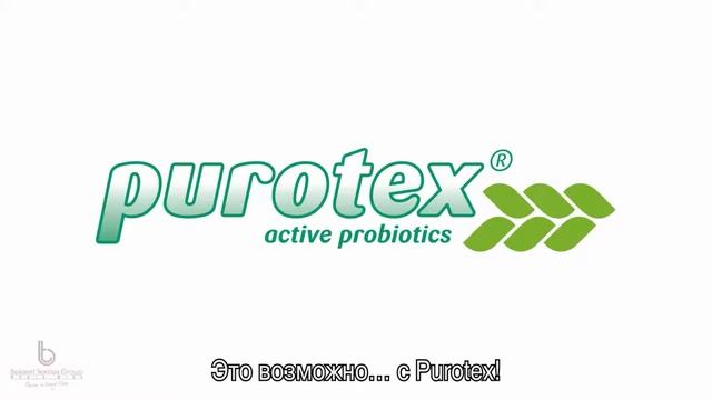 Подушки с пропиткой PUROTEX с пробиотиками