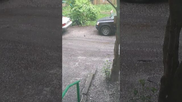 ЧЕРЁМУХОВЫЙ СНЕГ  ПАДАЕТ