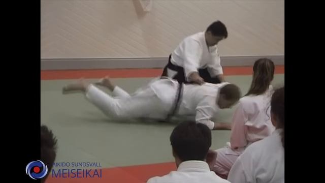 5 Aikido Jo No Tebiki Gyaku Hanmi Nikyo Shishiya Sensei Sandviken 2003