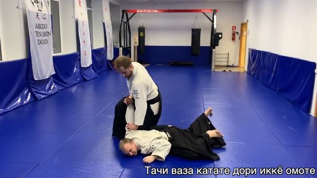Айкидо, Иван Егоров, программа 5 кю