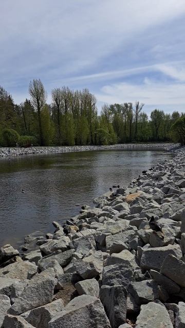 Утиные истории_1