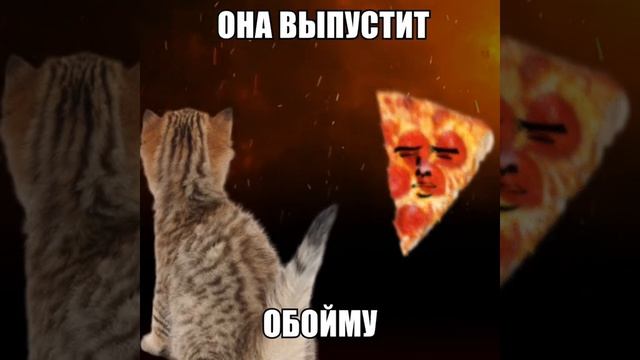 шаву битва кота