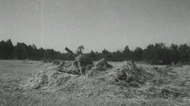 Во имя будущего - 100 лет ВОС