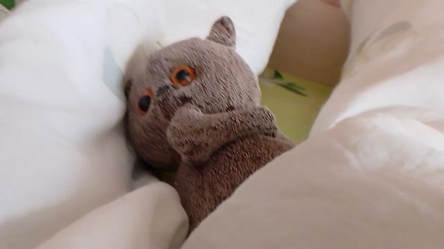 Утро с Лёшей 2 часть