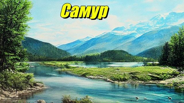 Самур