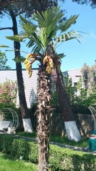 Кабардинка