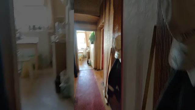 Университетский 77
