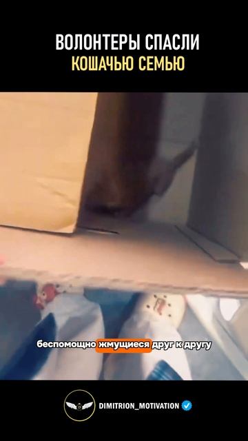 Когда не прошли мимо и вот что получилось #добро