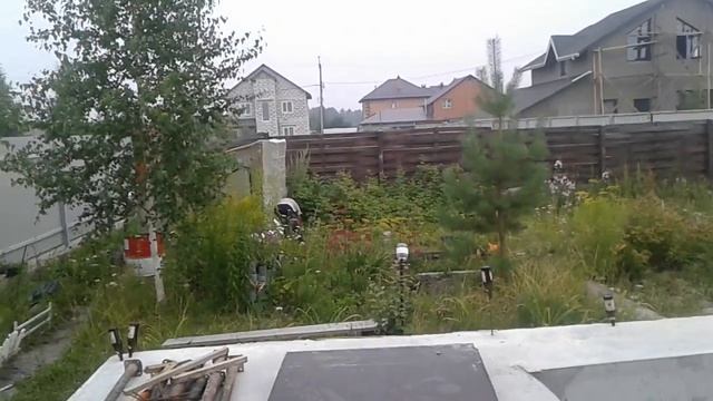 Спалил работника за поеданием ягоды...)))