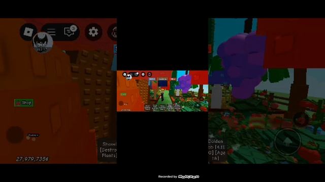играем в roblox вырасти сад