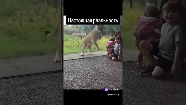 А вот вам, ещё про животных!..