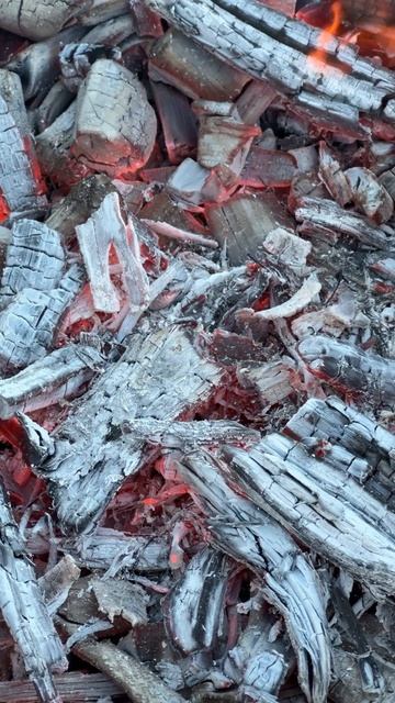 #bbq #шашлык