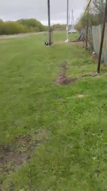 На прогулку