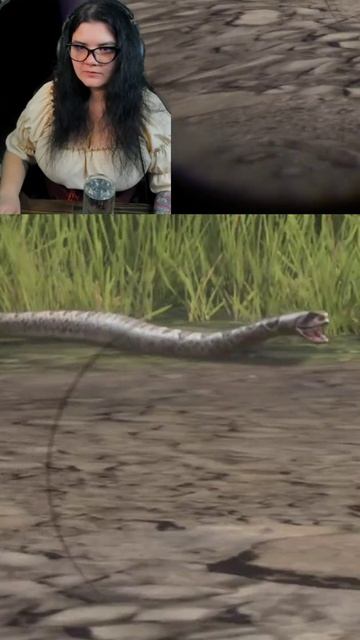 Гремучая змея в RDR2