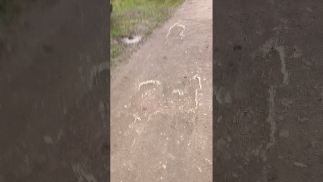 прогулка и обзорчик нашего колхоза