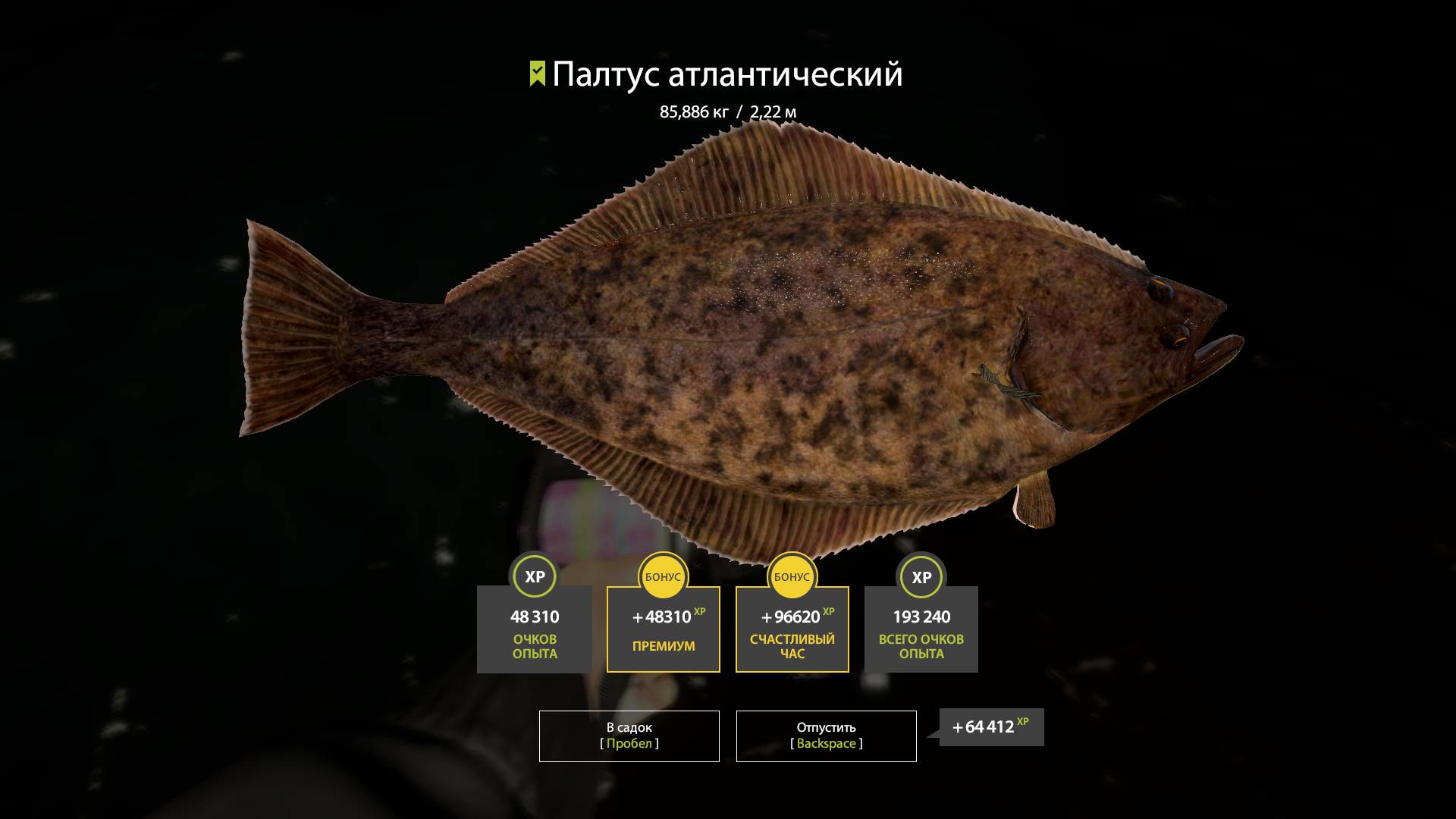 Русская рыбалка 4. Норвежское море. Палтус 85кг