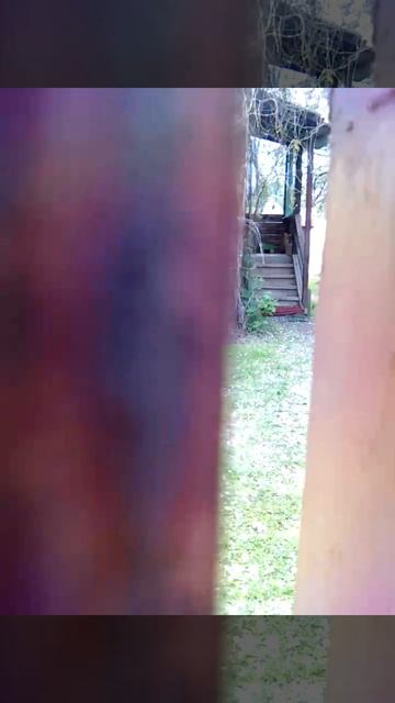 VID_20250518_130235.mp4