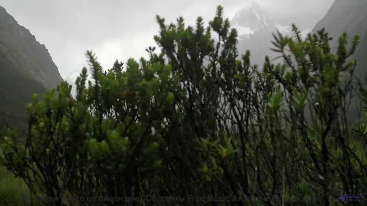 Кадры, которые заставят вас усомниться в реальности! - Hirie-Nov 2017-LIVE -- Hirie -- Live at KBOO