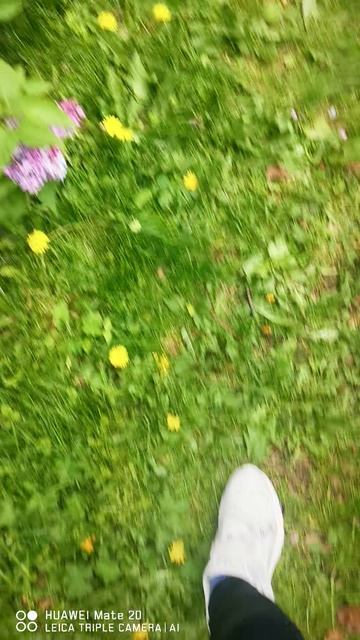 VID_20250518_113959.mp4