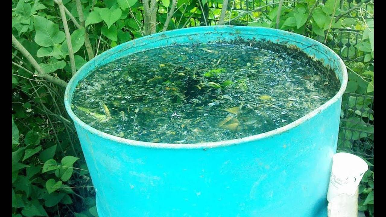 Как избавиться от травы и сорников За 3 Секунды!.