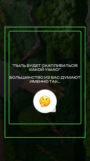 Фитокартина из природных материалов
