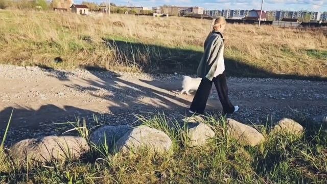 Прогулка с шпицем