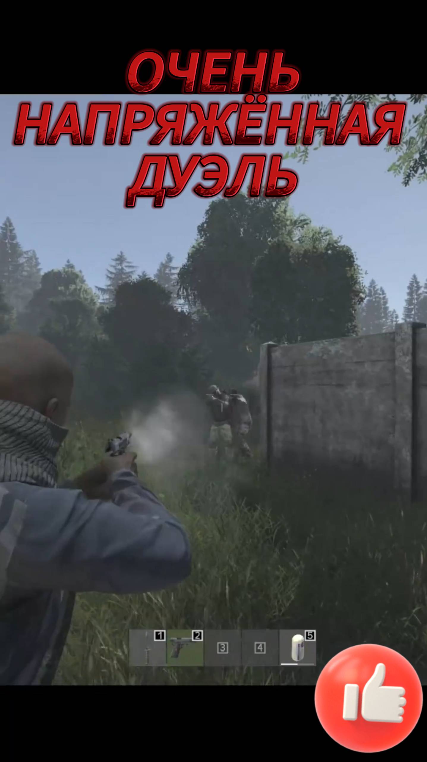 Очень напряжная встреча #gameplay #онлайн #online #dayz